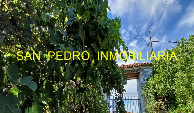 VENTA CASA DE CAMPO-PUENTE DE PIEDRA