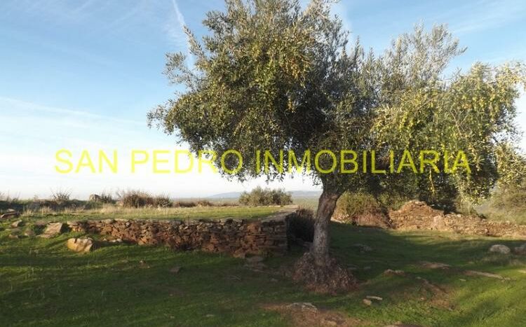 VENTA FINCA RÚSTICA DE 50.000 M/2 EN VALENCIA DE ALCÁNTARA
