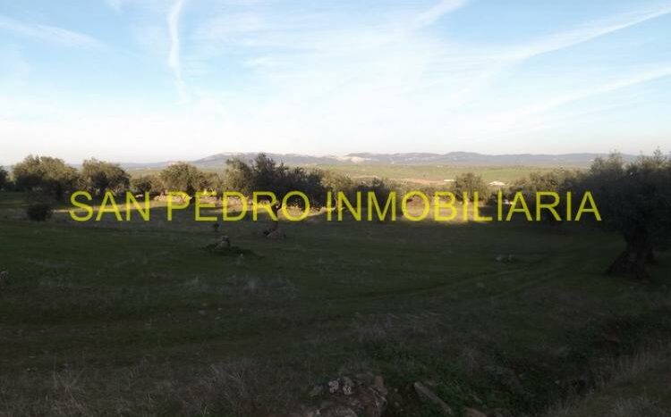 VENTA FINCA RÚSTICA DE 50.000 M/2 EN VALENCIA DE ALCÁNTARA