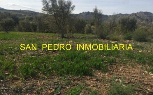 VENTA FINCA RÚSTICA DE RECREO CON ESPECTACULARES VISTAS