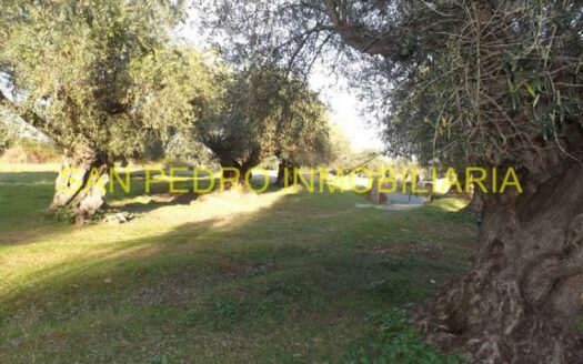 VENTA FINCA RÚSTICA DE 50.000 M/2 EN VALENCIA DE ALCÁNTARA