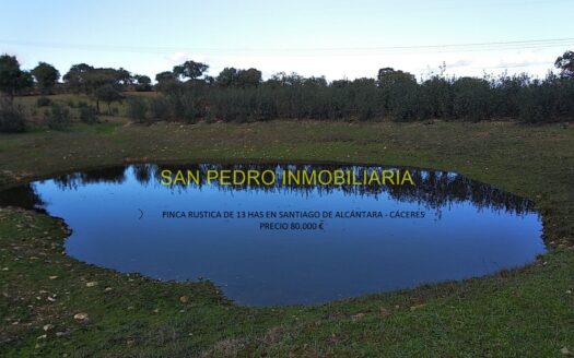 VENTA FINCA RÚSTICA DE 13 HAS CERCANA A POBLACIÓN DE SANTIAGO DE ALCÁNTARA-CÁCERES