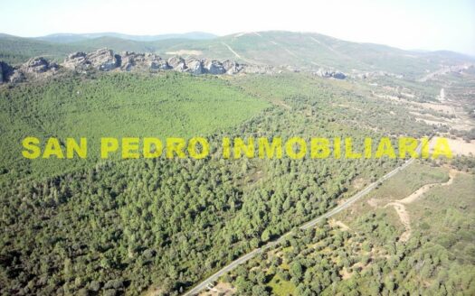 VENTA DE FINCAS RÚSTICAS EN PUERTO ROQUE DE VALENCIA DE ALCÁNTARA