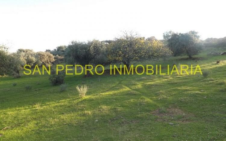 VENTA FINCA RÚSTICA DE 50.000 M/2 EN VALENCIA DE ALCÁNTARA